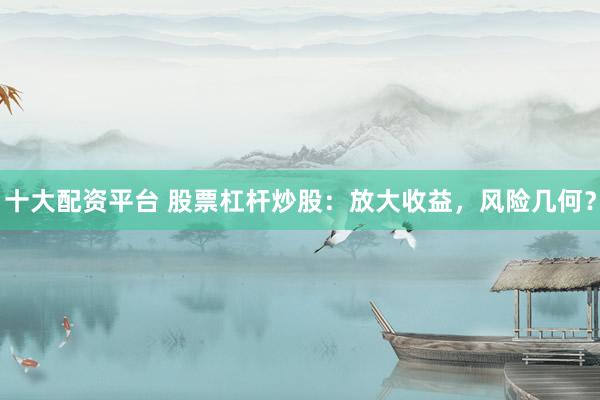 十大配资平台 股票杠杆炒股：放大收益，风险几何？