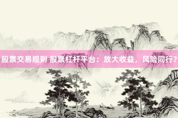 股票交易规则 股票杠杆平台：放大收益，风险同行？