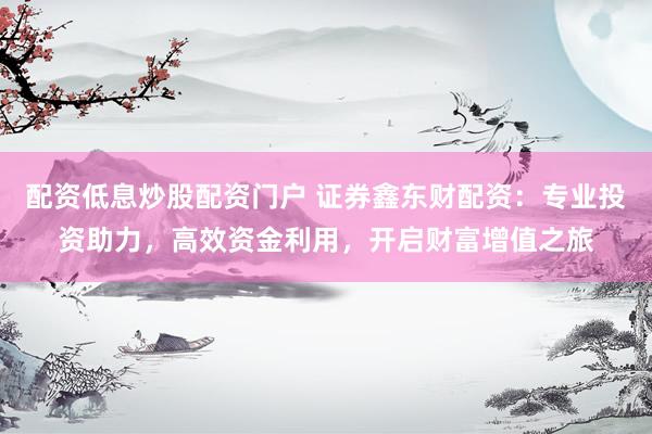 配资低息炒股配资门户 证券鑫东财配资：专业投资助力，高效资金利用，开启财富增值之旅