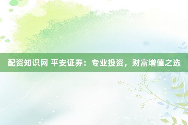 配资知识网 平安证券：专业投资，财富增值之选
