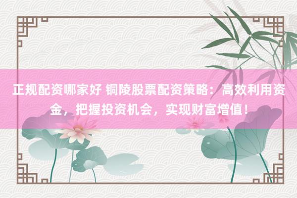 正规配资哪家好 铜陵股票配资策略：高效利用资金，把握投资机会，实现财富增值！