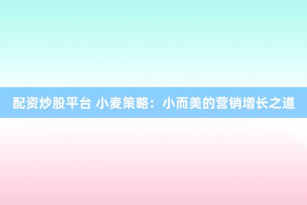 配资炒股平台 小麦策略：小而美的营销增长之道