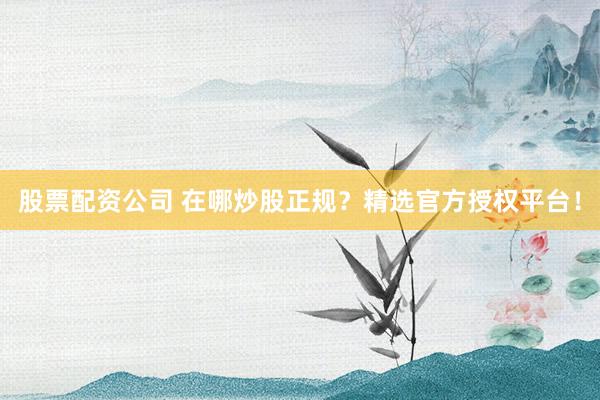 股票配资公司 在哪炒股正规?精选官方授权平台!