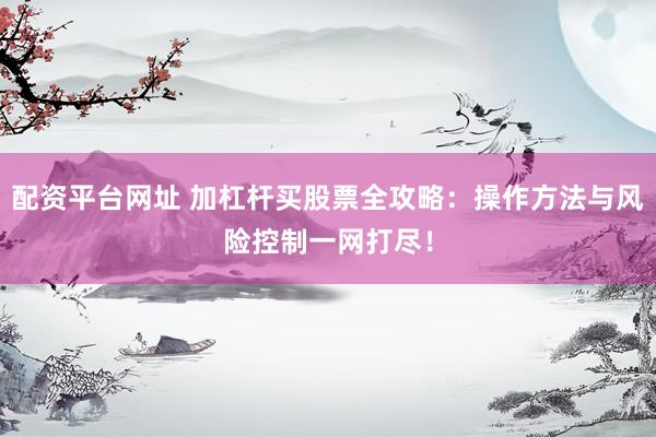 配资平台网址 加杠杆买股票全攻略：操作方法与风险控制一网打尽！