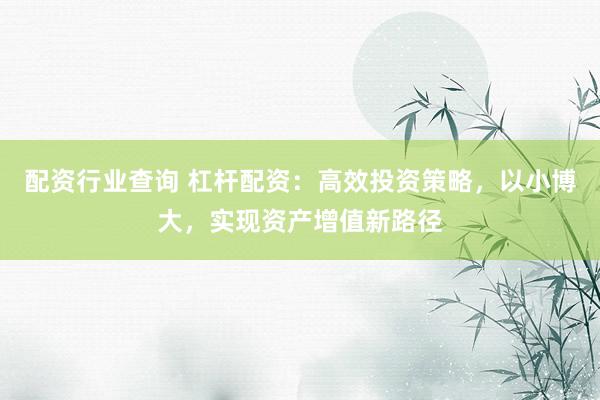 配资行业查询 杠杆配资：高效投资策略，以小博大，实现资产增值新路径