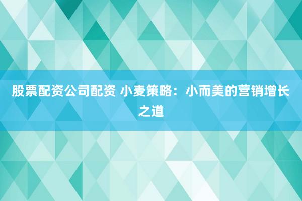 股票配资公司配资 小麦策略：小而美的营销增长之道