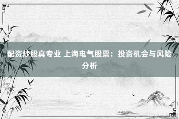 配资炒股真专业 上海电气股票：投资机会与风险分析
